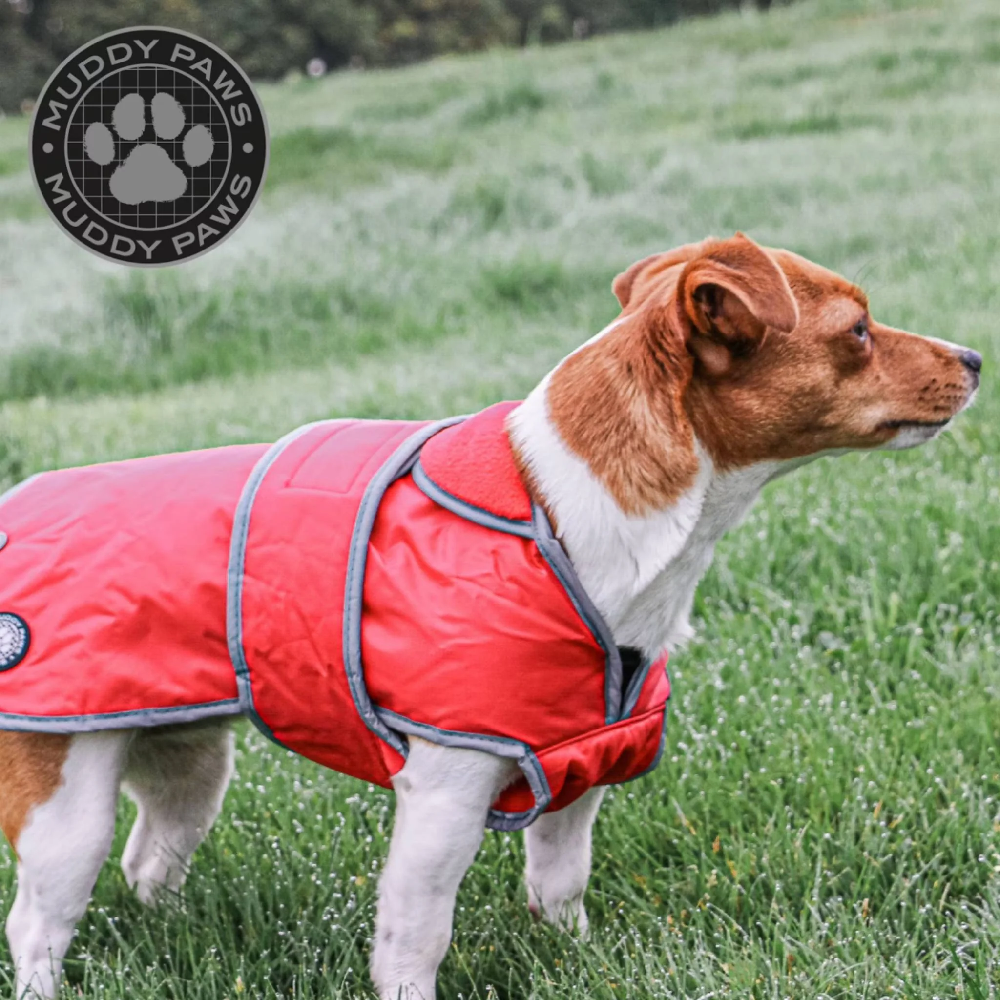 Ancol Muddy Paws Stormguard Dog Coat - Image 5