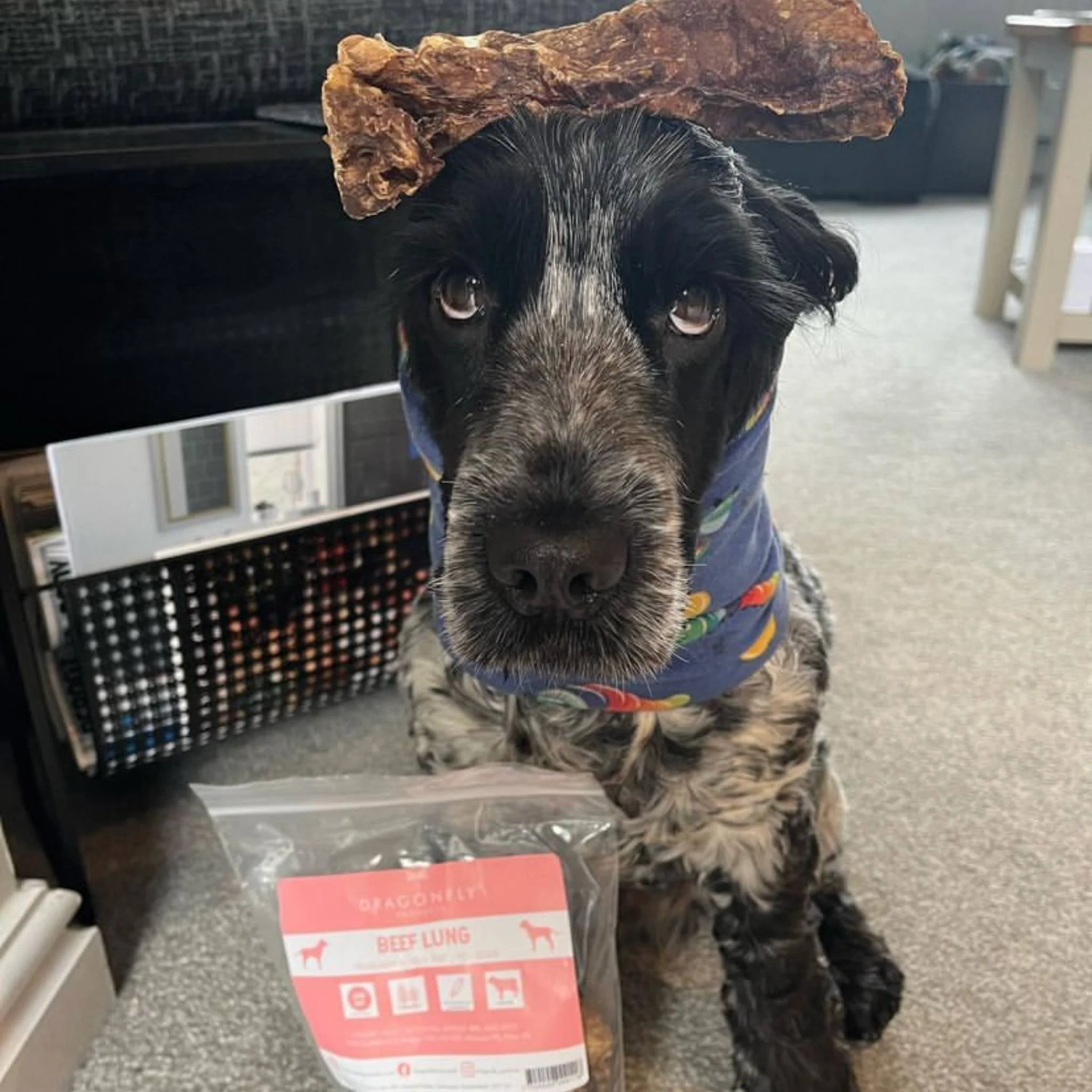 Beef Lung - Image 4