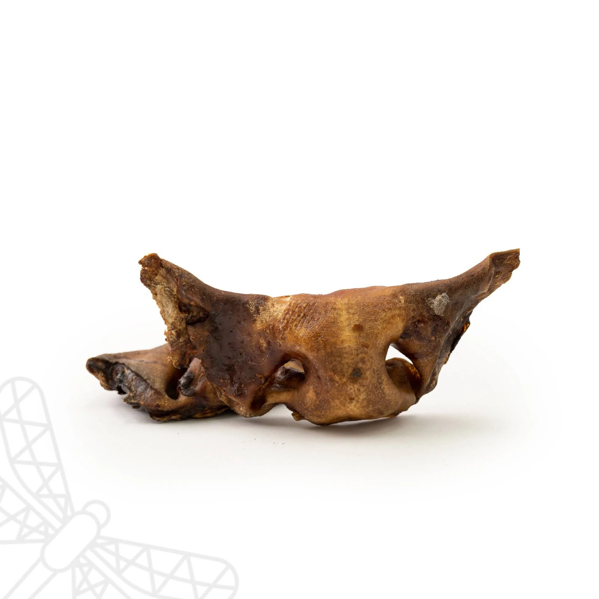 Beef Snout - Image 2