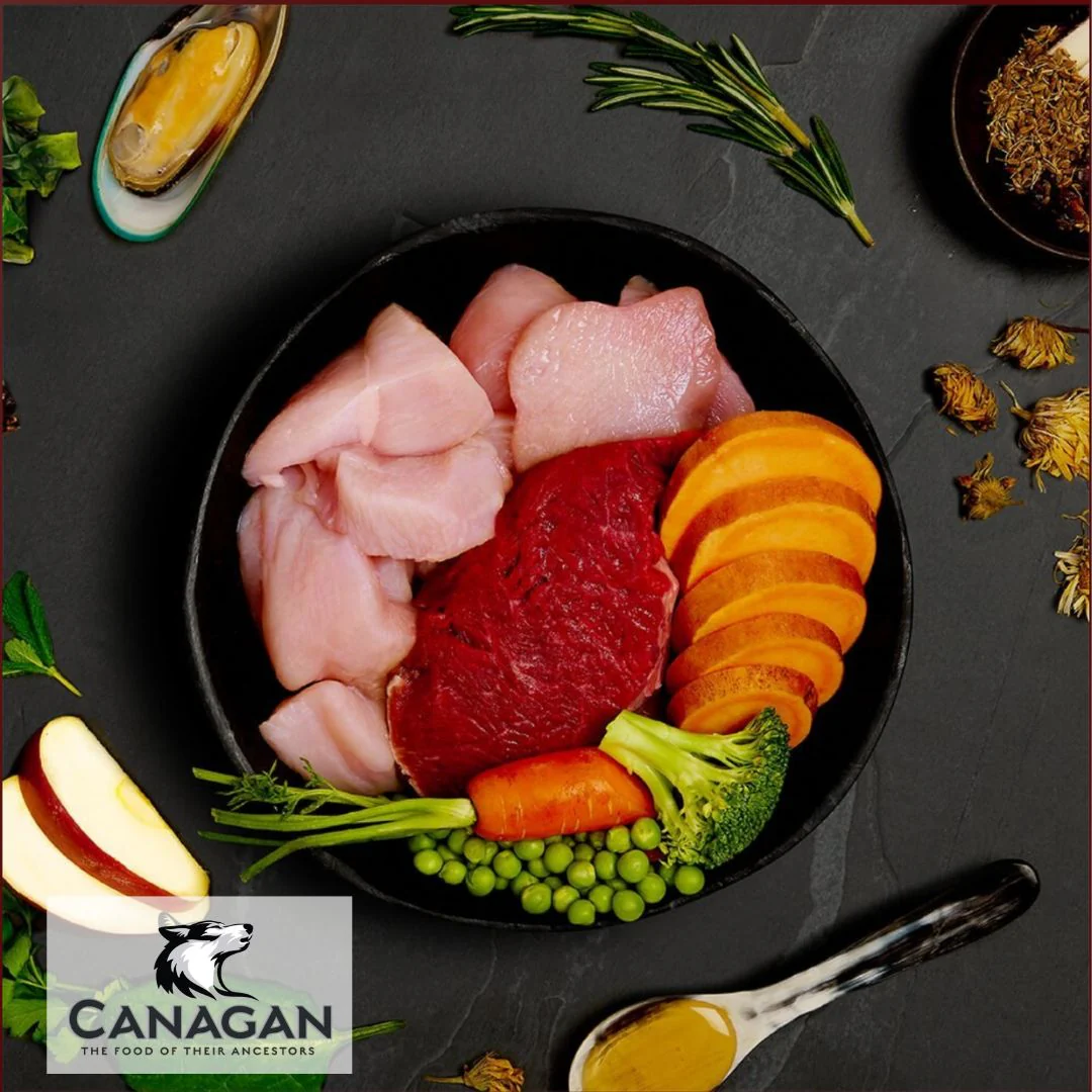 Canagan Puppy Feast Grain Free Complete - Image 3