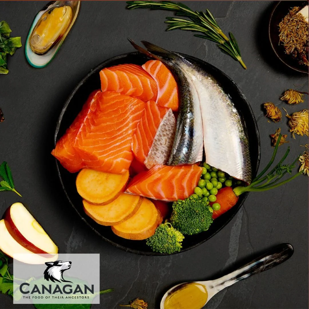 Canagan Salmon & Herring Supper - Image 3