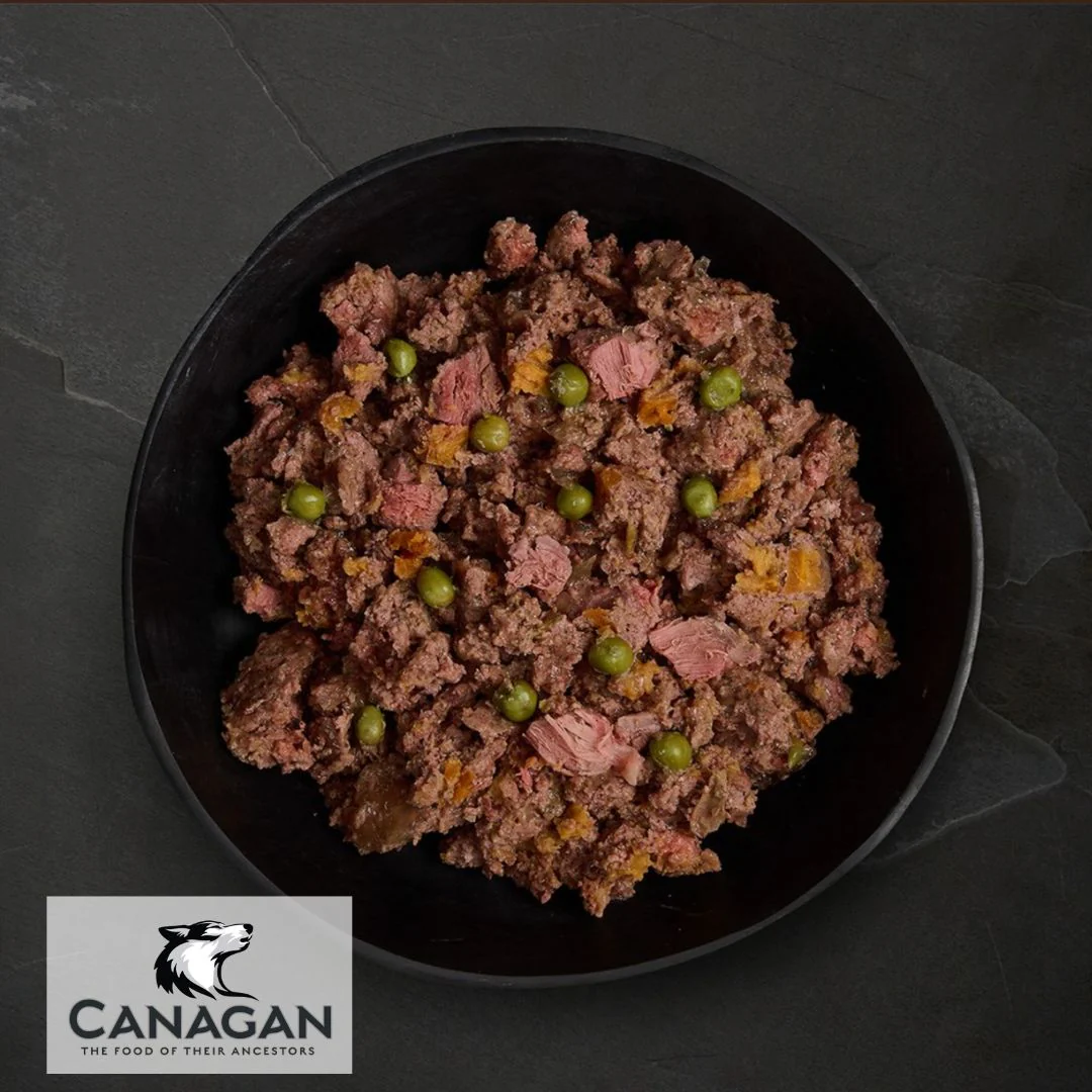 Canagan Senior Feast - Image 2