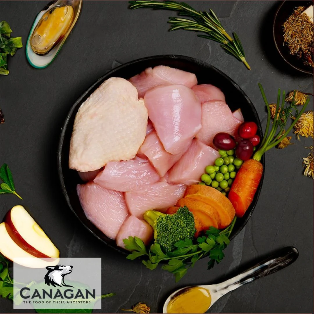 Canagan Senior Feast - Image 3