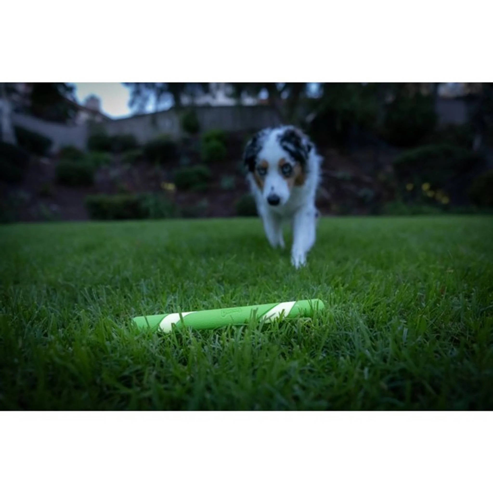 Chuckit! Max Glow Ultra Fetch Stick - Image 3