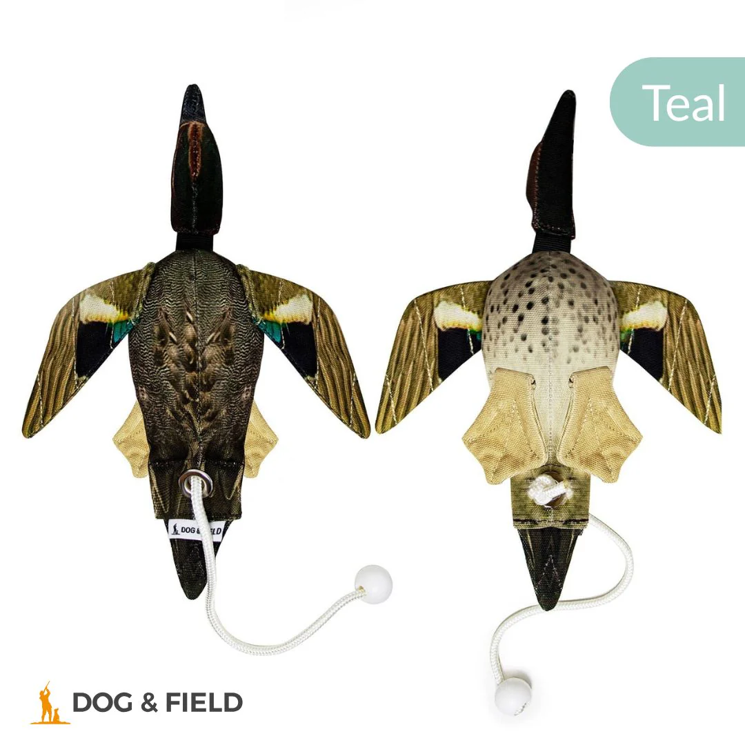 Dog & Field The Original Clone®️ Dead Bird Dummy - Image 16