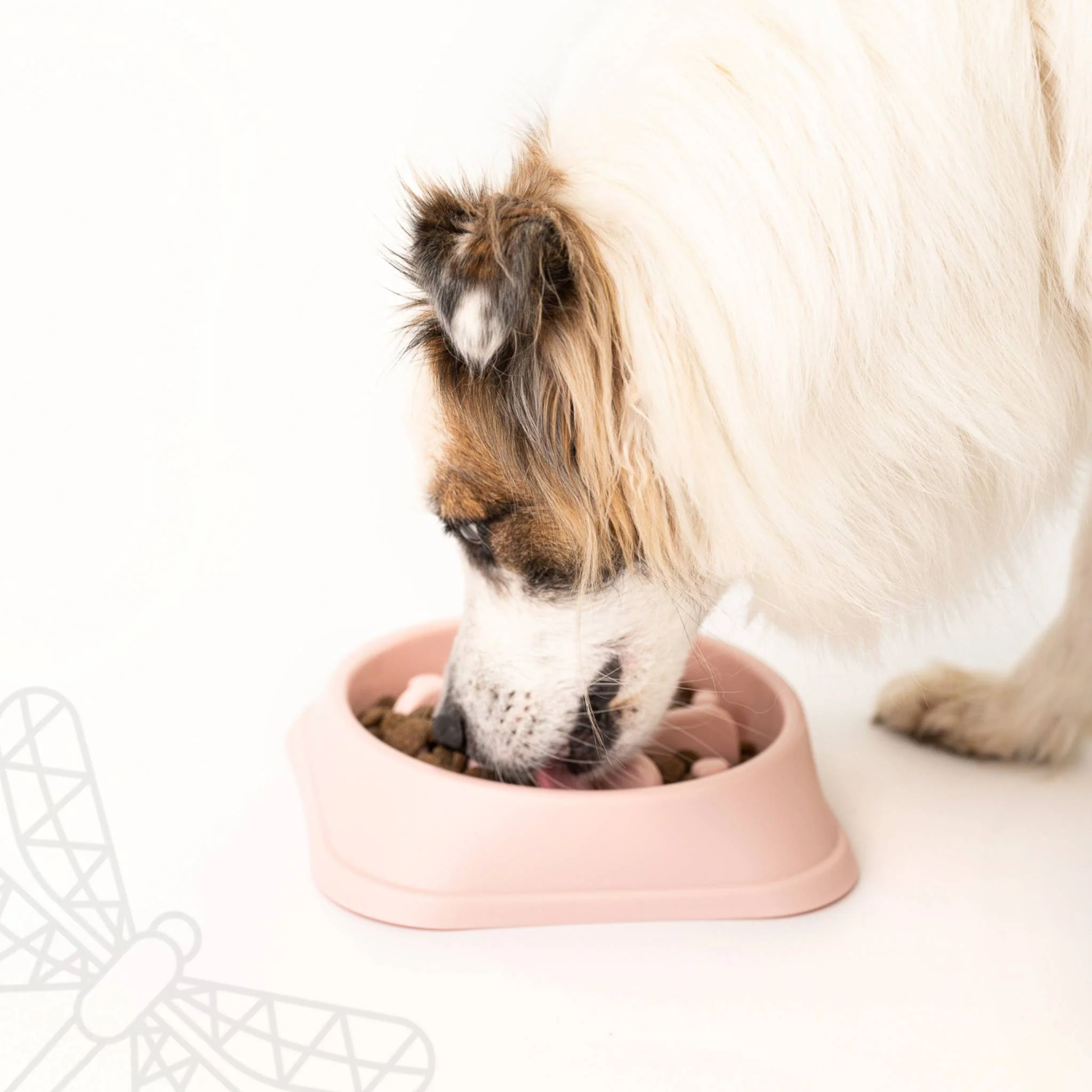 Slow Down Slow Feeder Bowl - Image 5