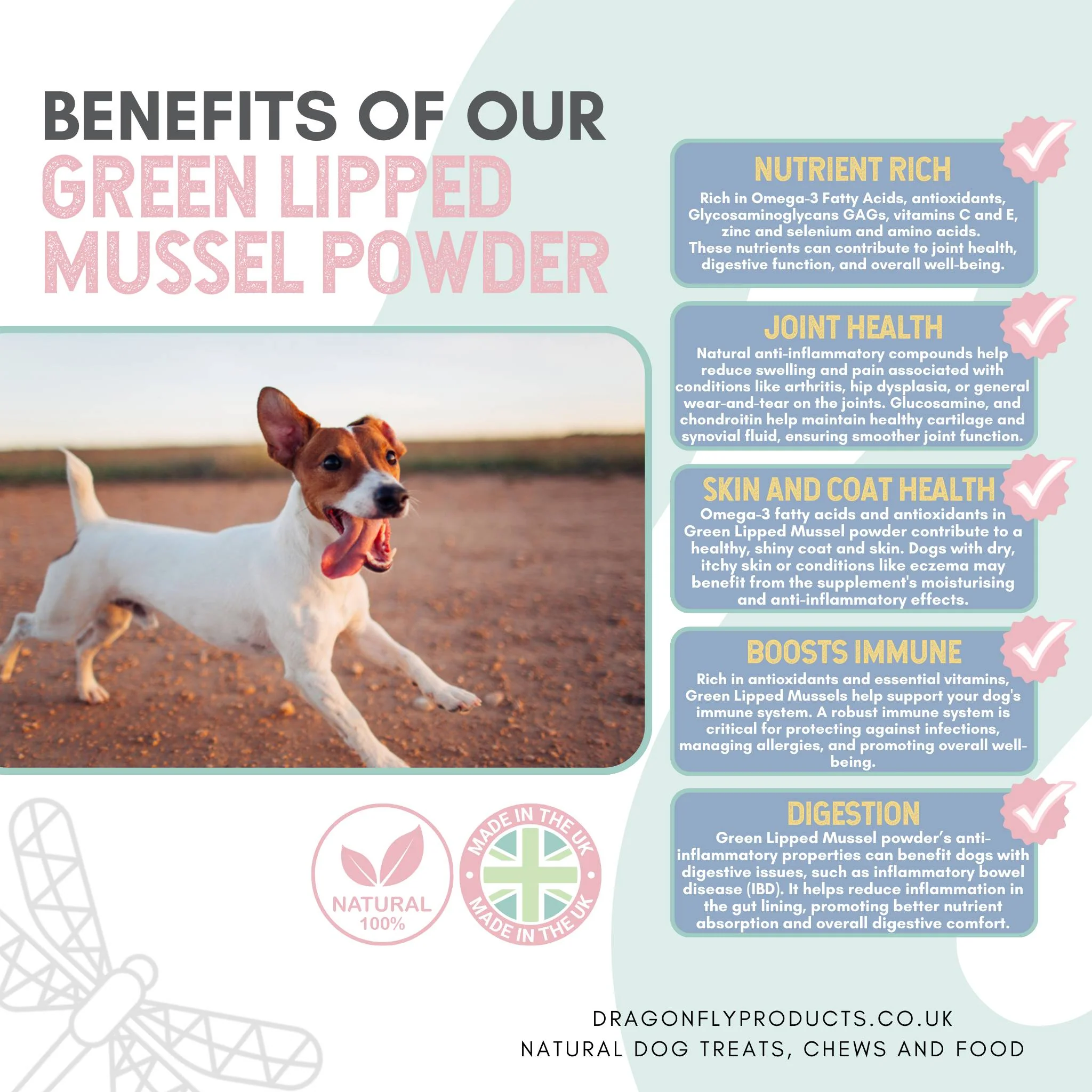 Green Lipped Mussel Powder for Dogs - Image 2