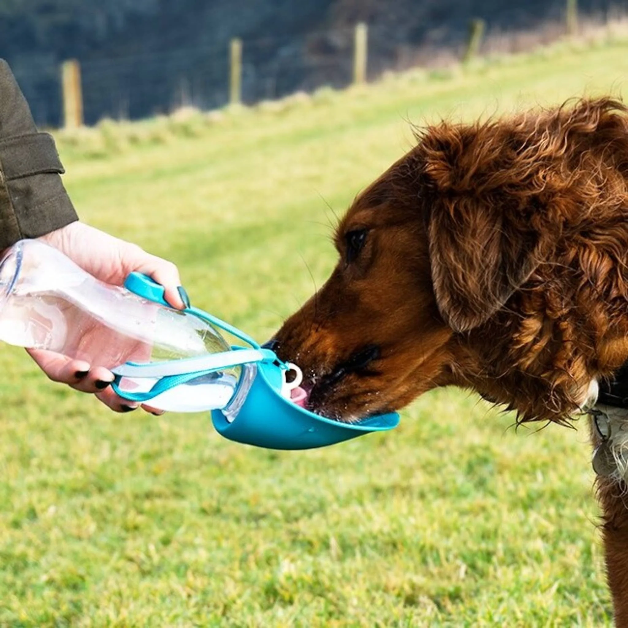 Henry Wag Pet Water Bottle With Leaf Bowl - Image 3