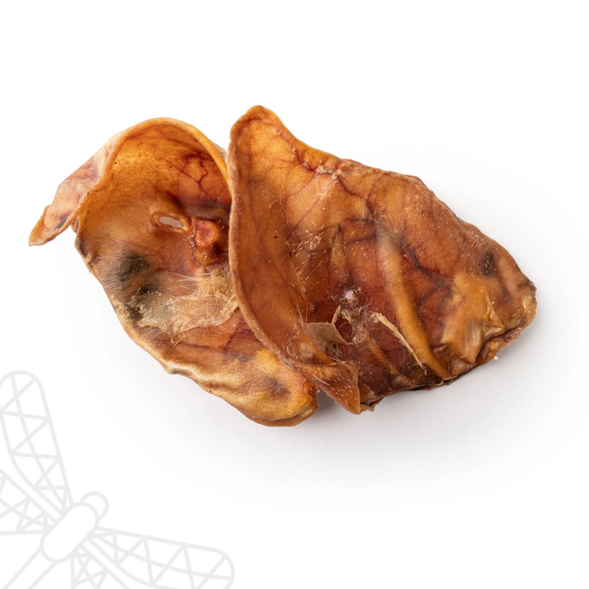 Jumbo Pig Ears - Image 2