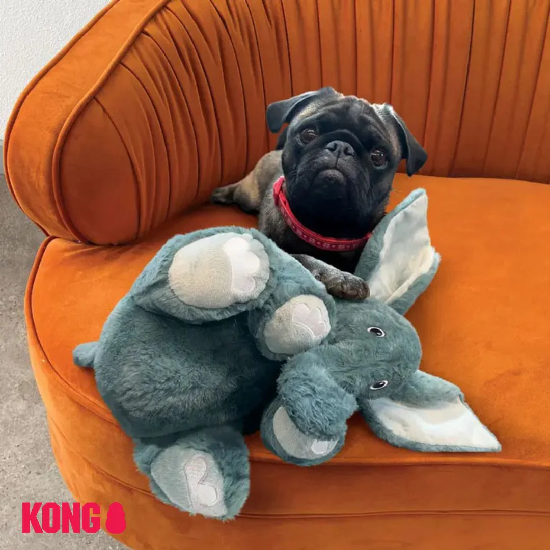 KONG Comfort Kiddos Jumbo Elephant - Image 4