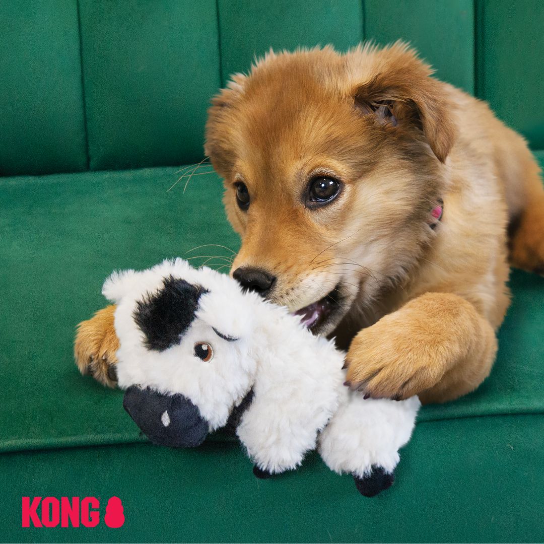 KONG Comfort Tykes Farm Animals - Image 3