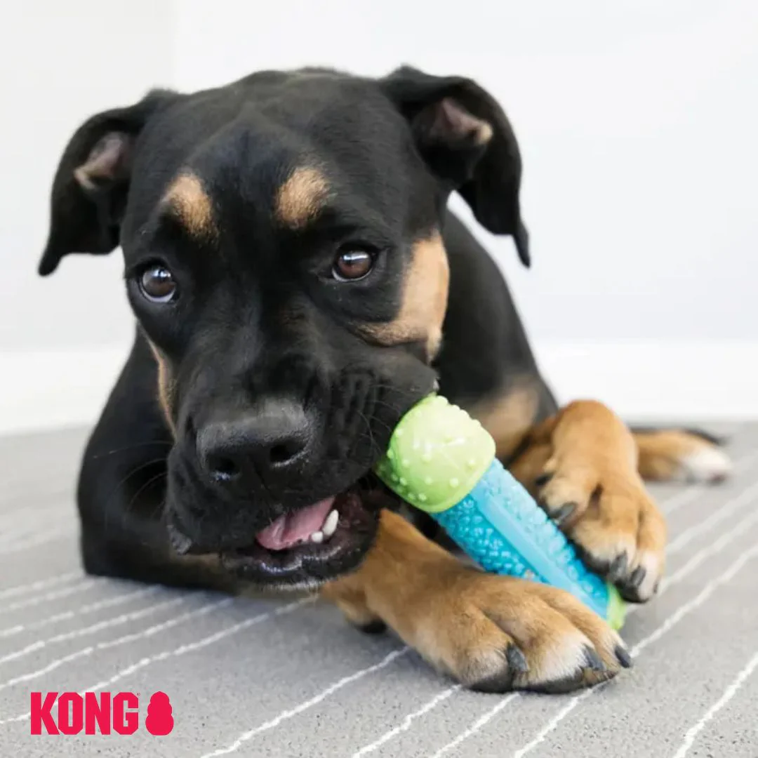 KONG CoreStrength Bone - Image 6