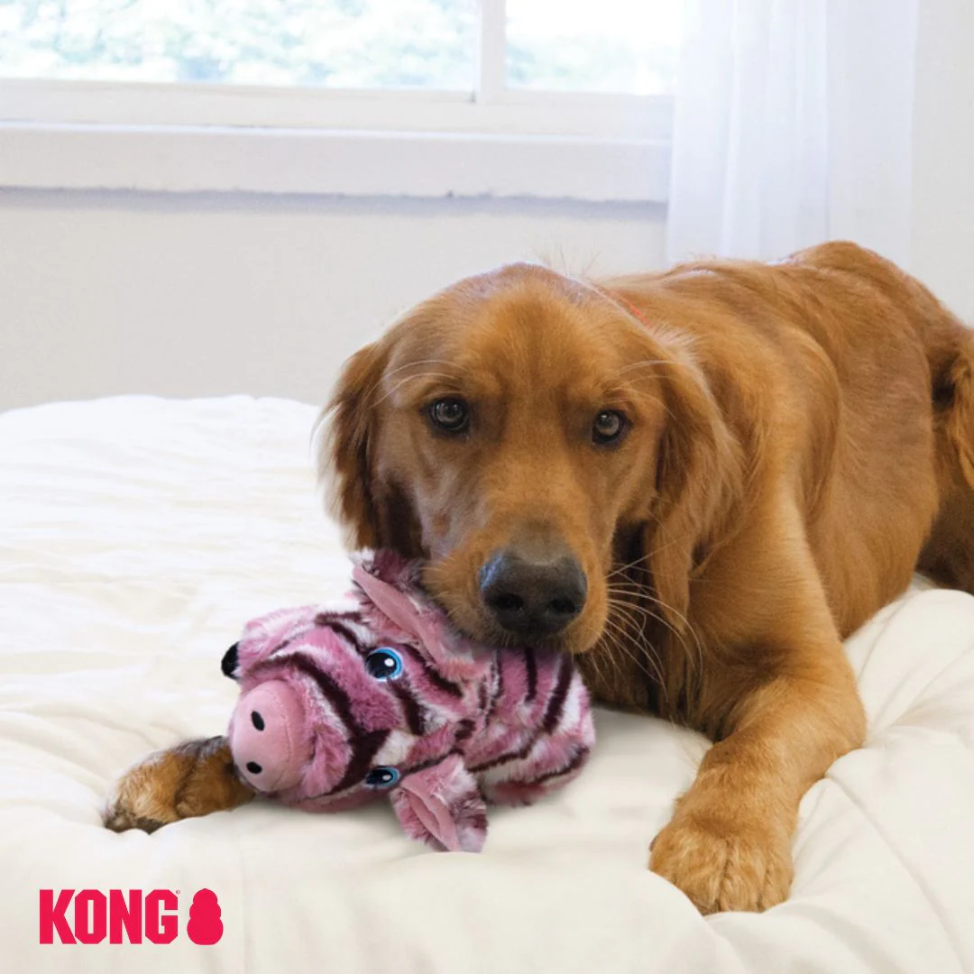KONG Low Stuff Stripes - Image 10