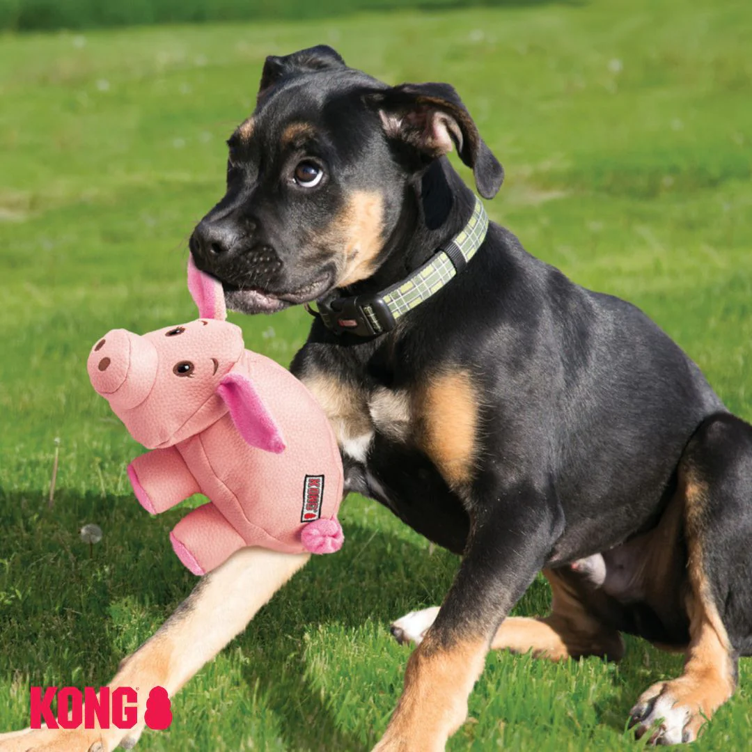 KONG Phatz Pig - Image 4
