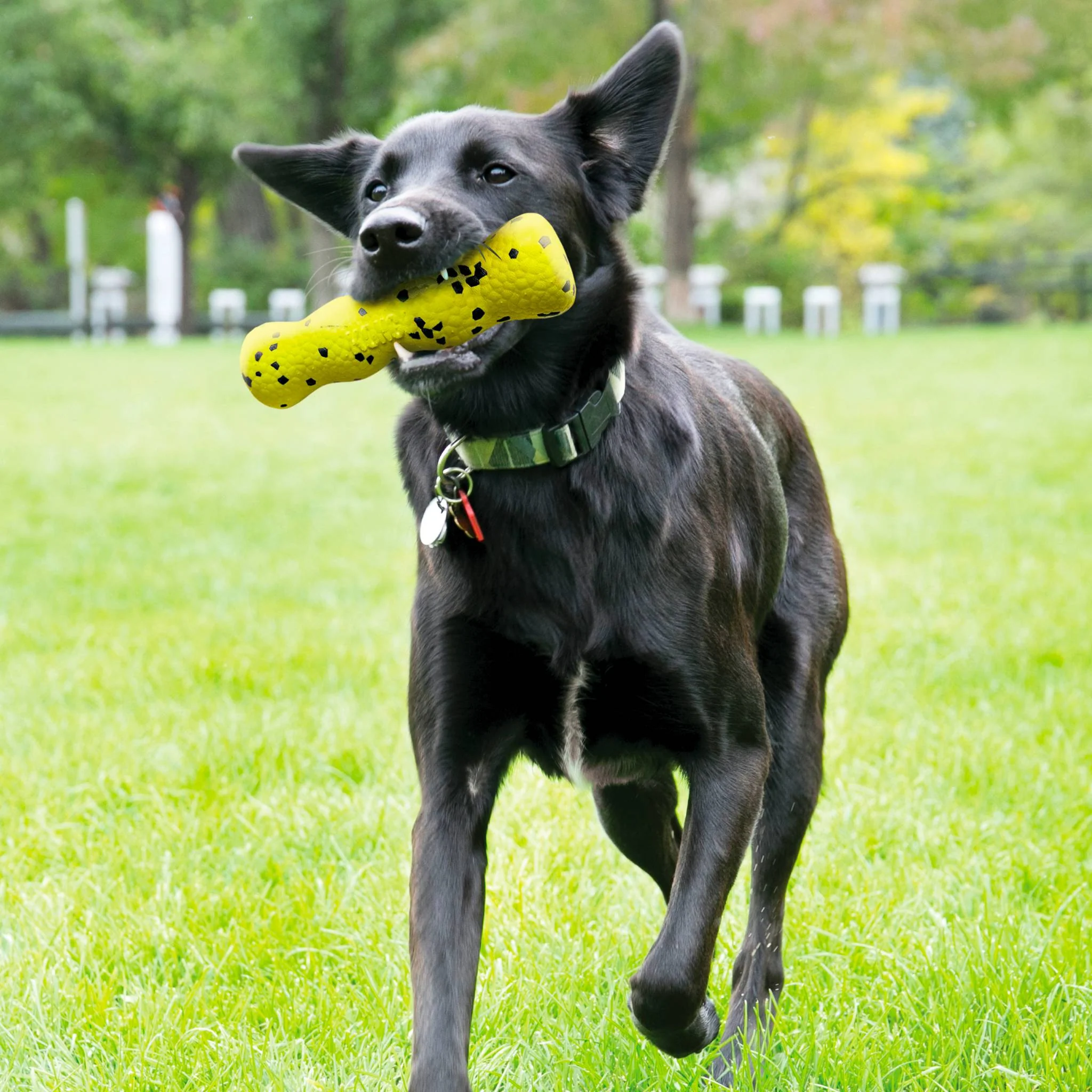 KONG Reflex Stick - Image 3