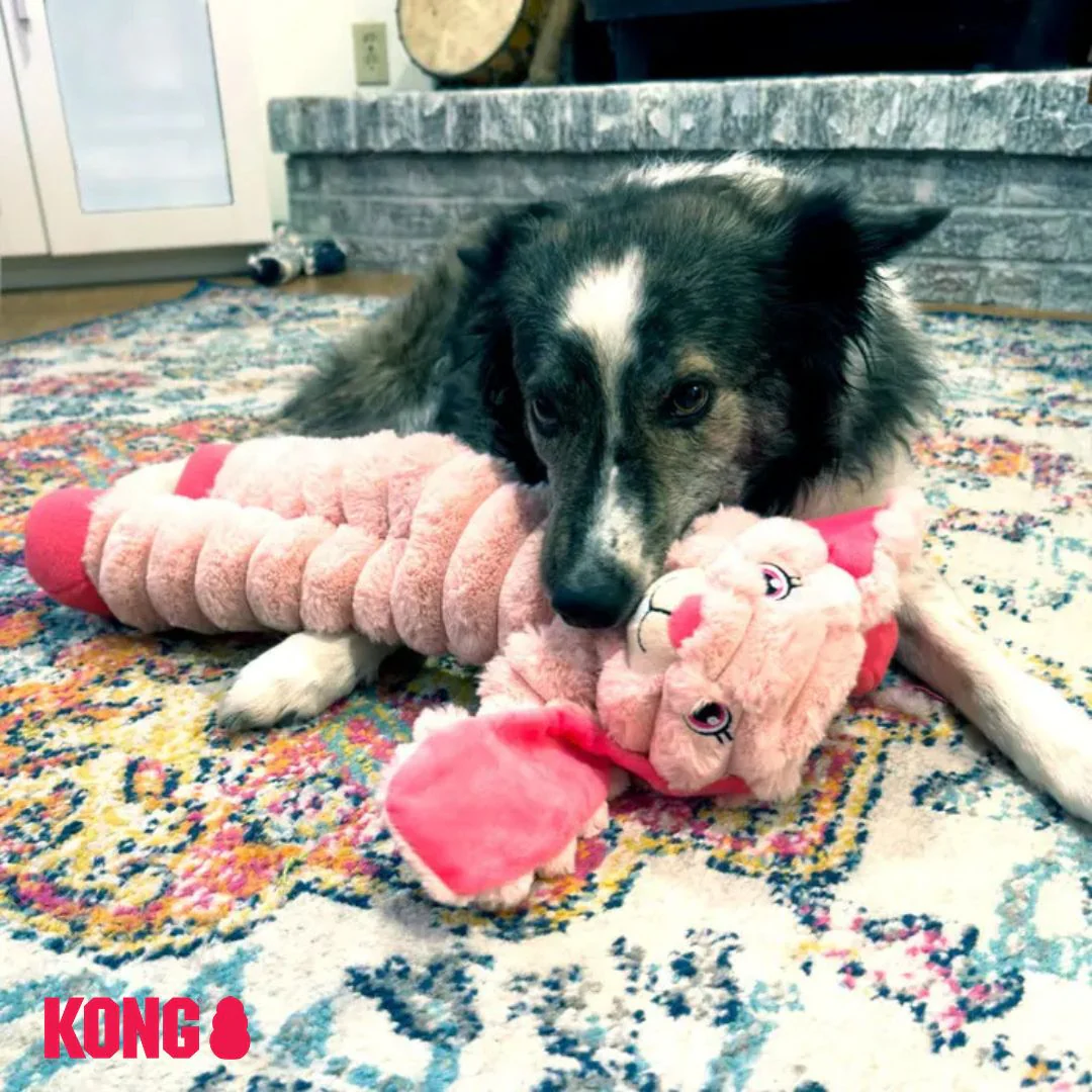 KONG Shakers Crumples - Image 4