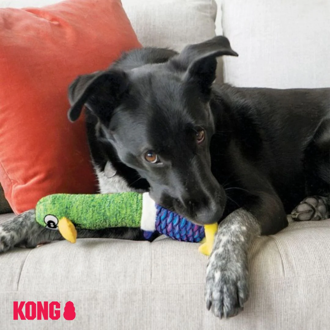 KONG Shakers Cuckoos - Image 5
