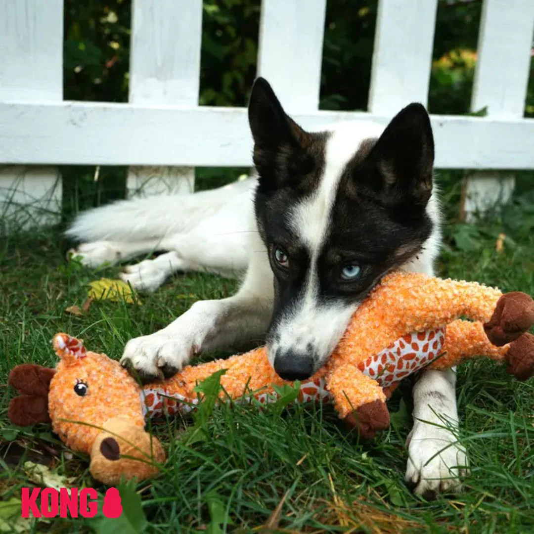 KONG Shakers Luvs Giraffe - Image 4