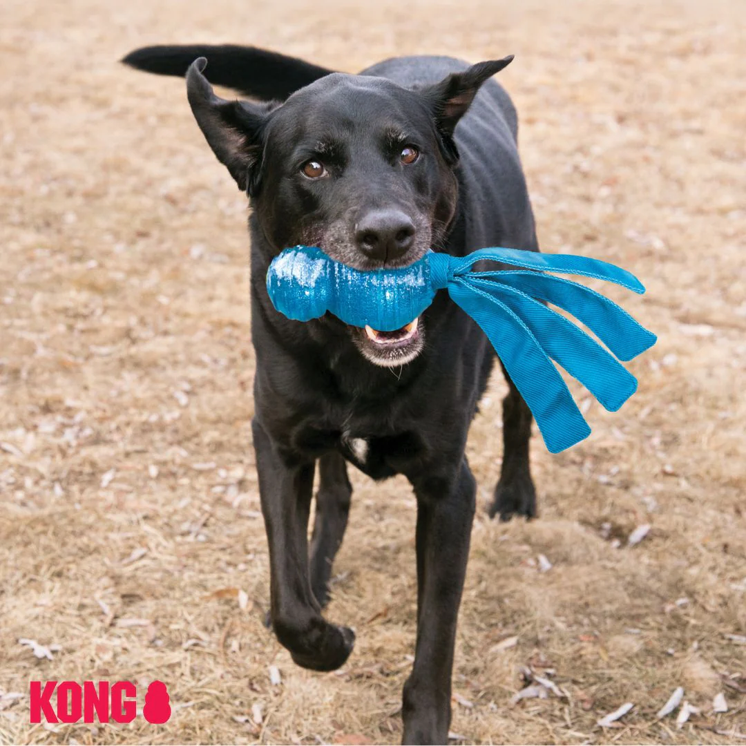 KONG Wubba Comet - Image 4