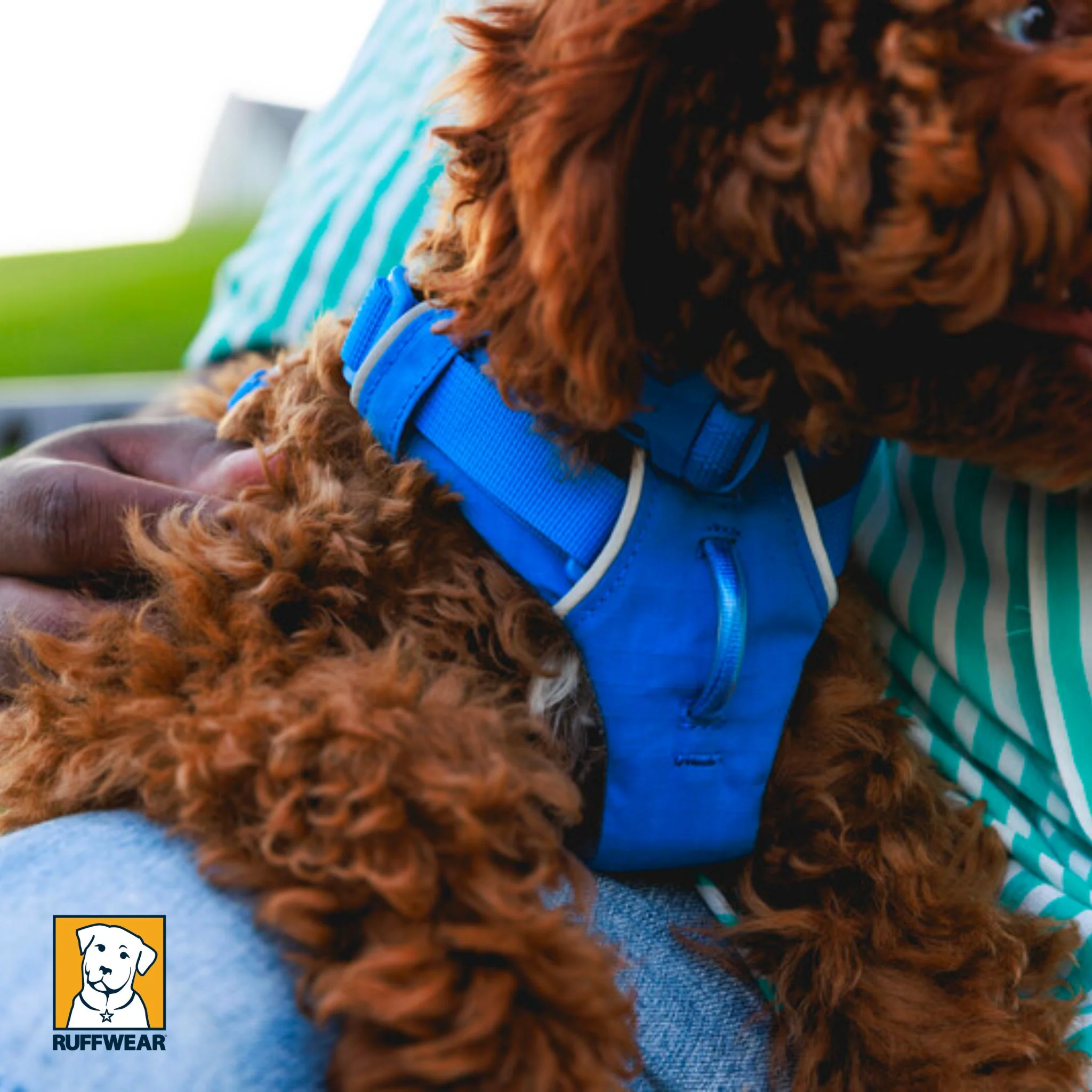 Ruffwear Front Range Harness - Image 8