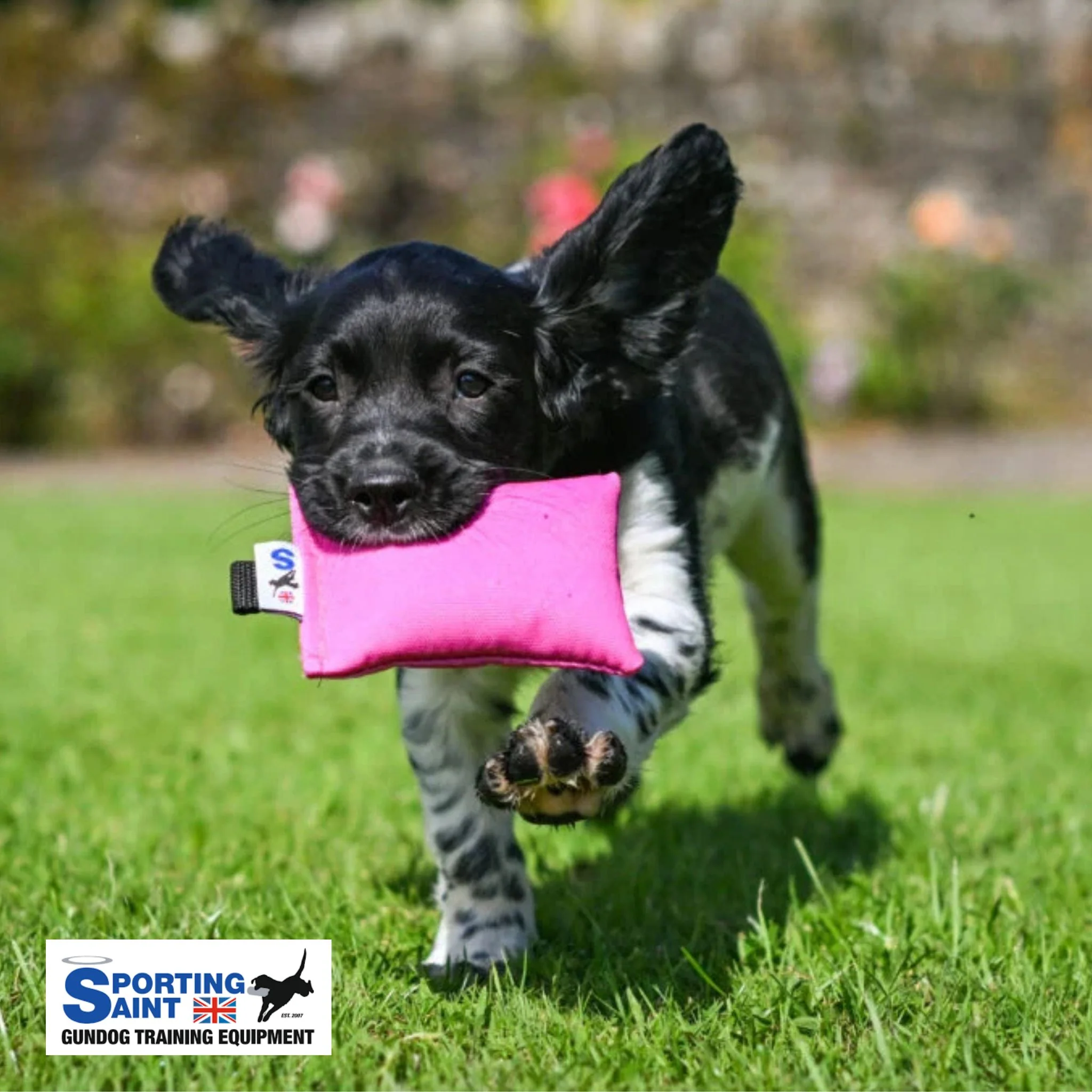 Sporting Saint Puppy Training Dummy - Image 5